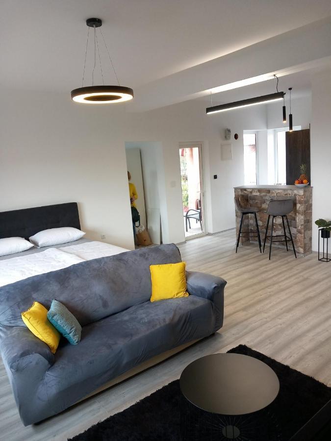 Apartman Ani ริเยกา ภายนอก รูปภาพ